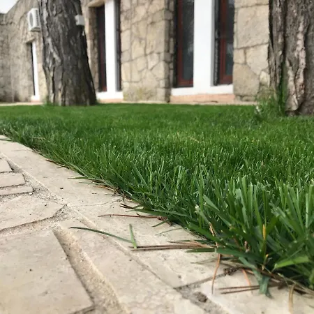 Tismana Hotel Jupiter